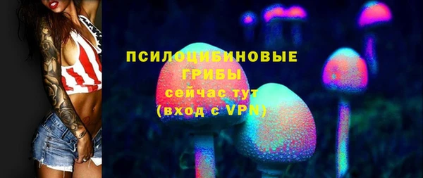 Альфа ПВП Пересвет