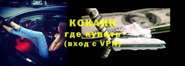 Альфа ПВП Пересвет