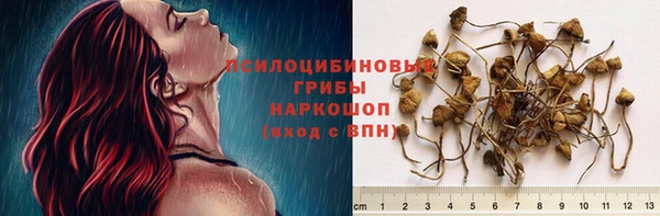 Альфа ПВП Пересвет