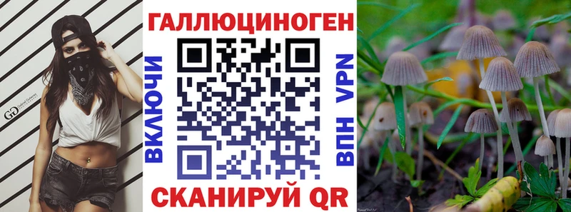 купить   Юхнов  Галлюциногенные грибы GOLDEN TEACHER 